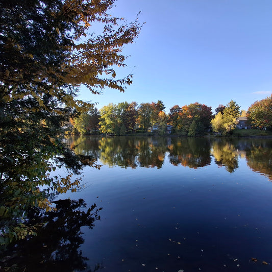 2024-09-30 (View BP12)