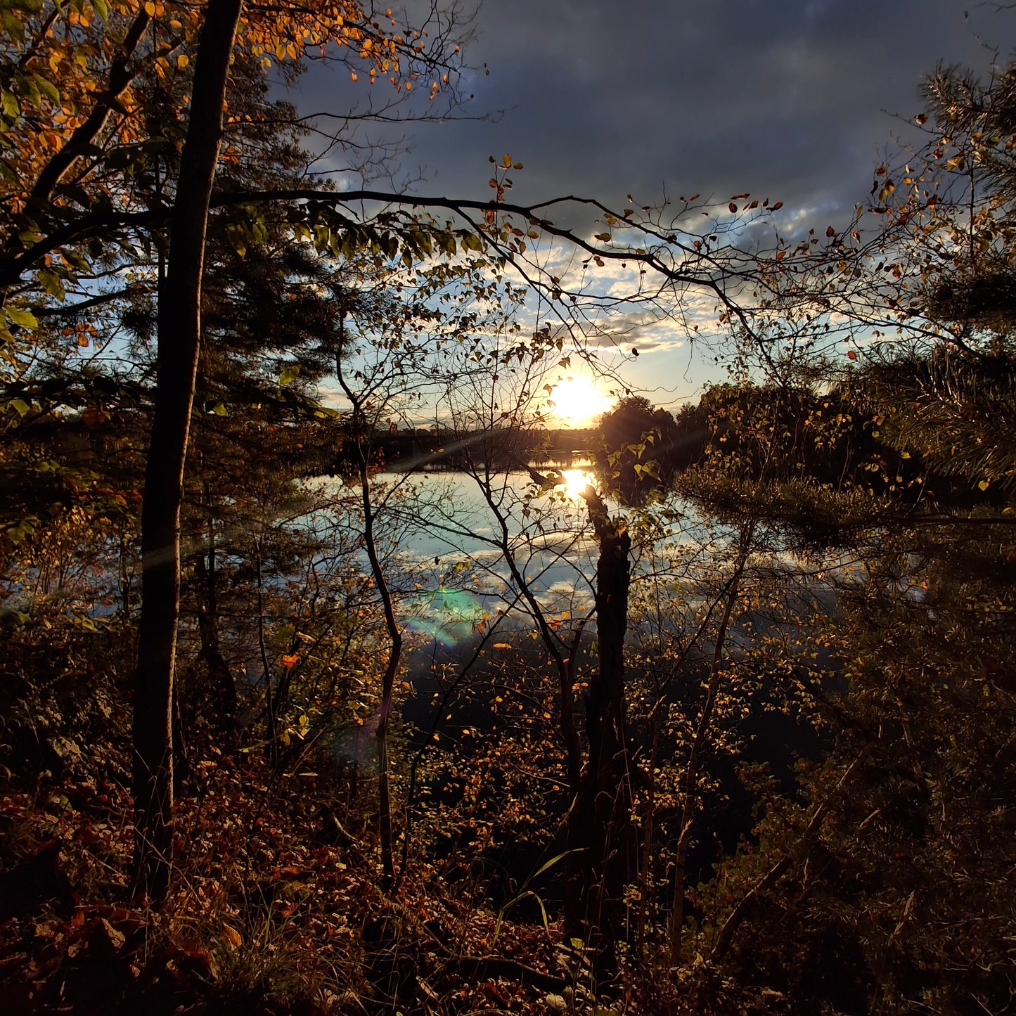 2024-10-08 17:47 (View 2.3)