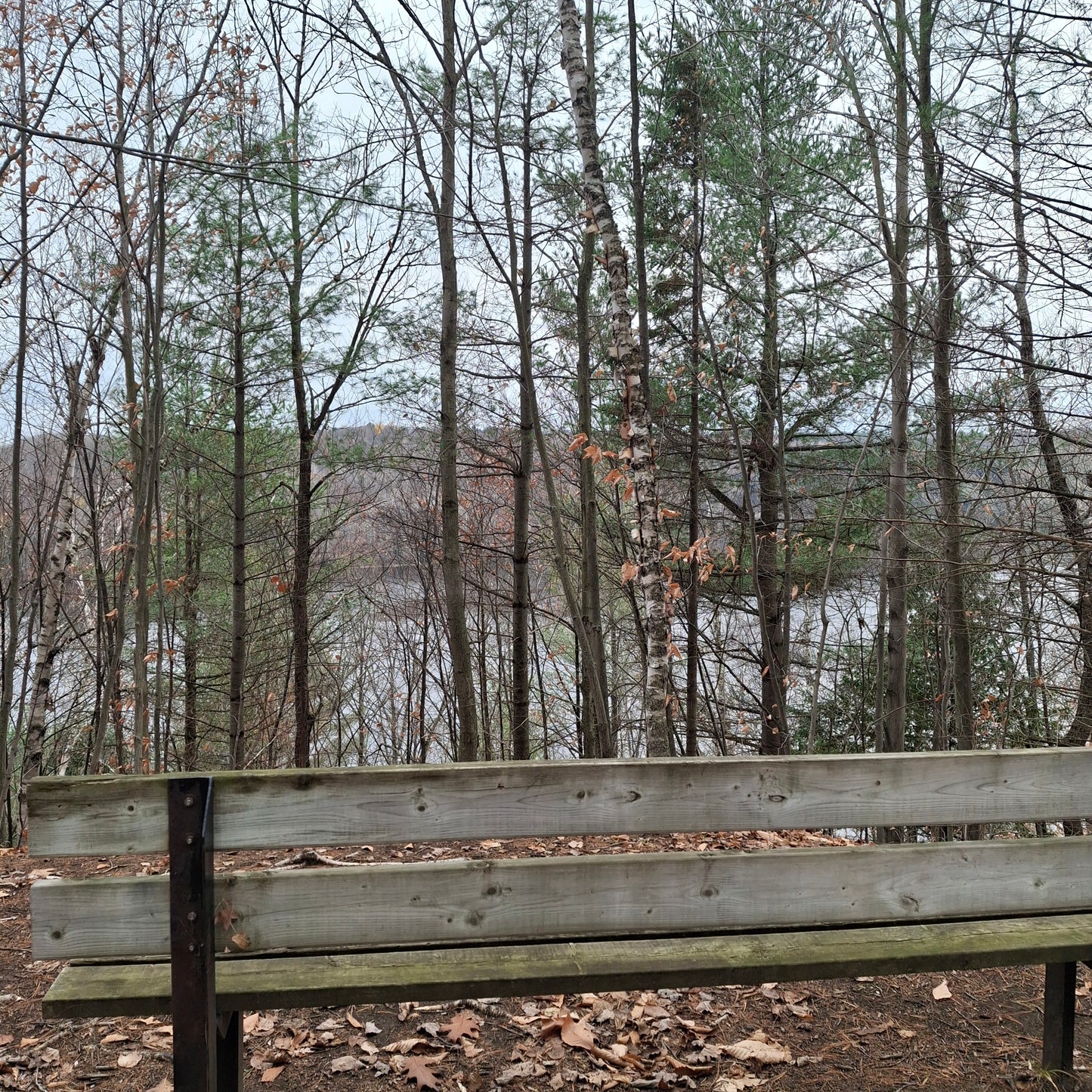 Sentier de La Gabelle