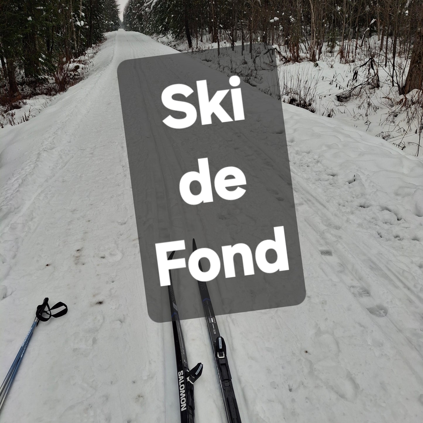 2025-11-22 Ski de fond (Vue Eastman)
