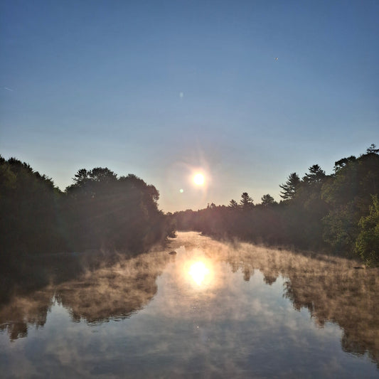 2025-07-22 06:12 (Vue Sous 410)