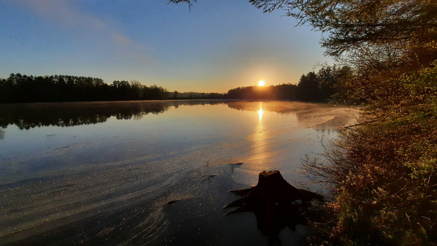 La Soleil Du 17 Mai 2021 (Vue Souche)