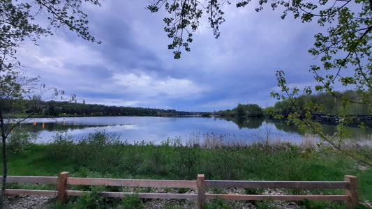 Lac Des Nations Du 18 Mai 2021 (Vue Banc 2)