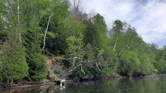 20 Mai 2021 (Vue -Bb1)