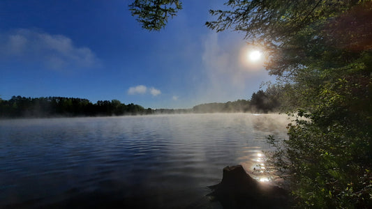 Le Ciel Bleu Le Soleil Et La Brume Du 24 Mai 2021 (Vue Souche)