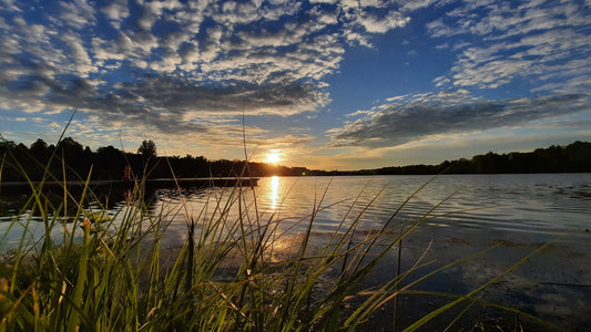 Soleil Du 30 Mai 2021 (Vue Chat) Lac Des Nations