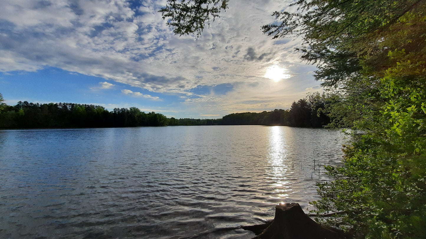 Soleil Du 30 Mai 2021 (Vue Souche)