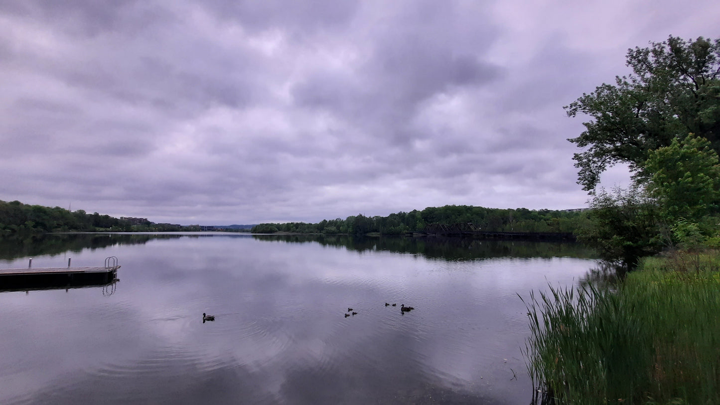 Trouve Les Canards Du 4 Juin 2021 (Vue Pq1) 5H13 Lac Des Nations