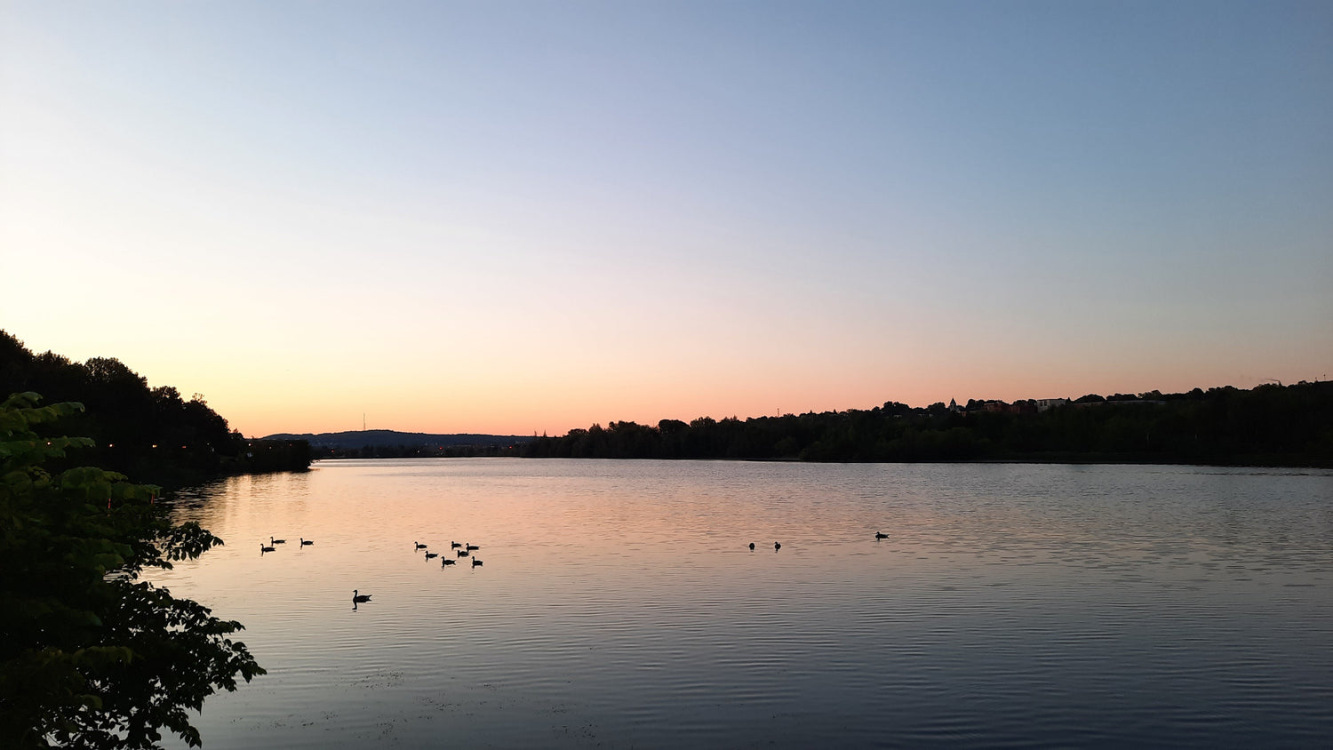 Trouve Les Bernaches Au Lac Des Nations Aube 18 Juin 2021 4H56