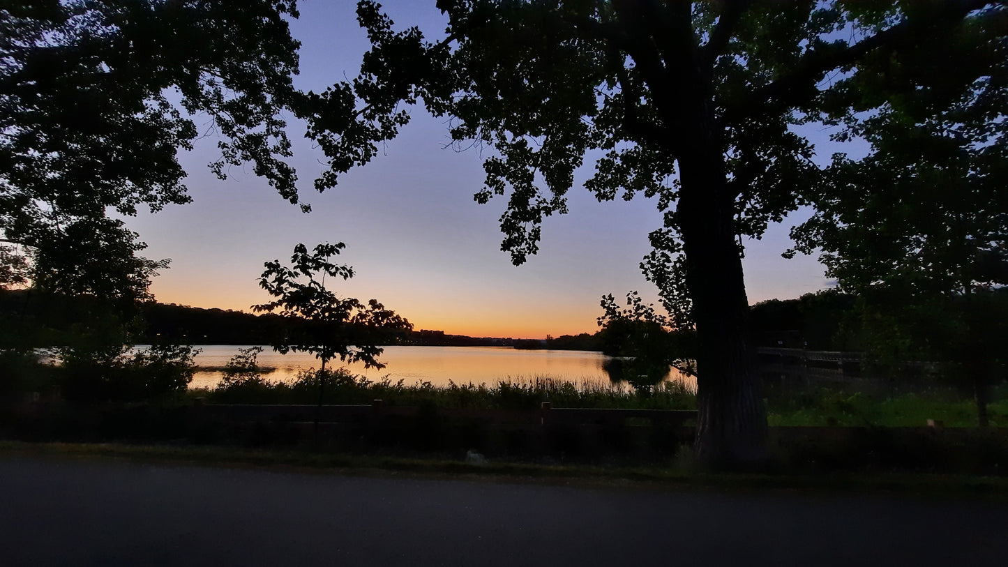 Aube Lac Des Nations Du 20 Juin 2021 (Vue Bp2) 4H48