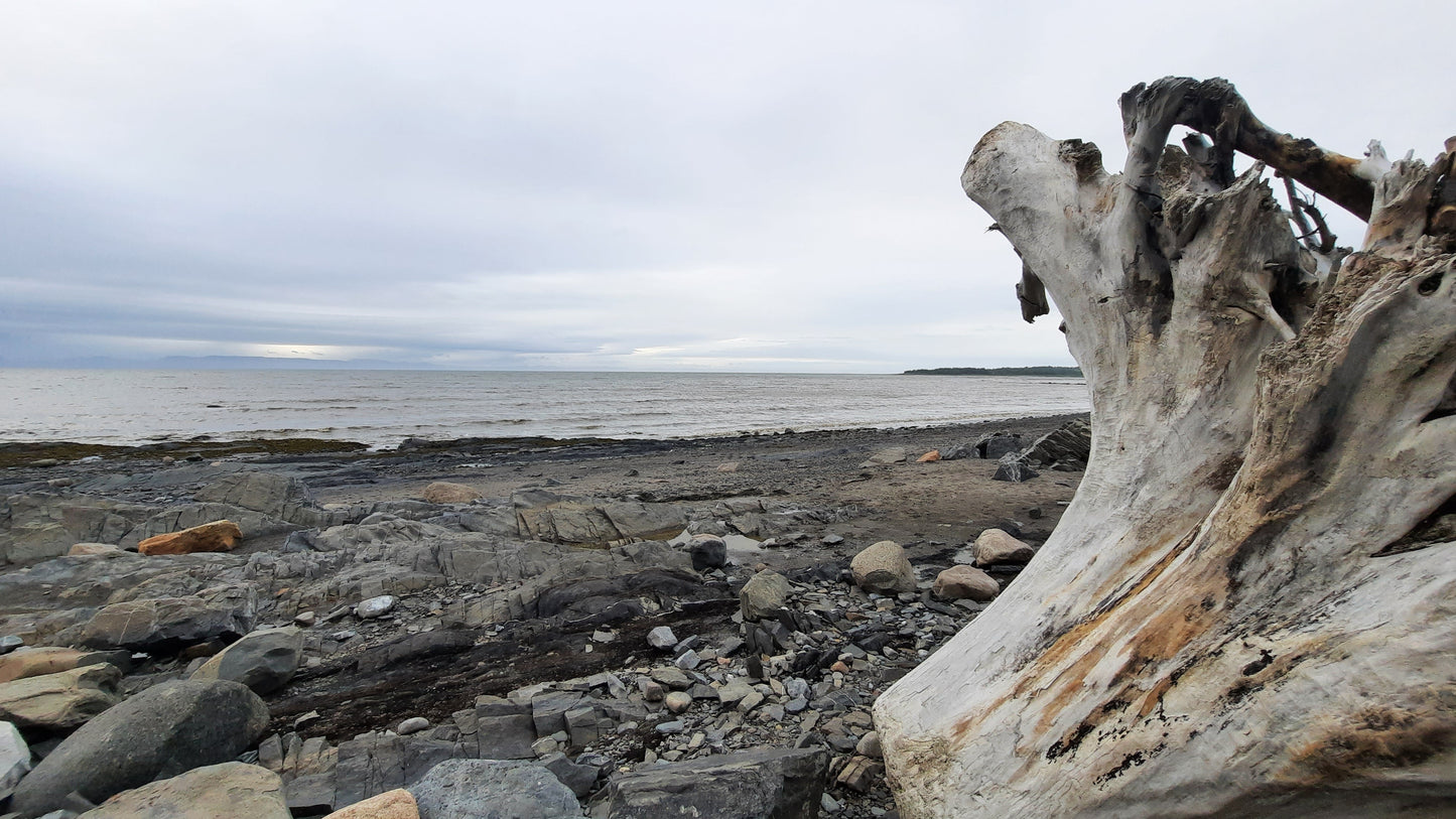 Plage Rivière-Du-Loup 1 Juillet 2021 (Jour 9)