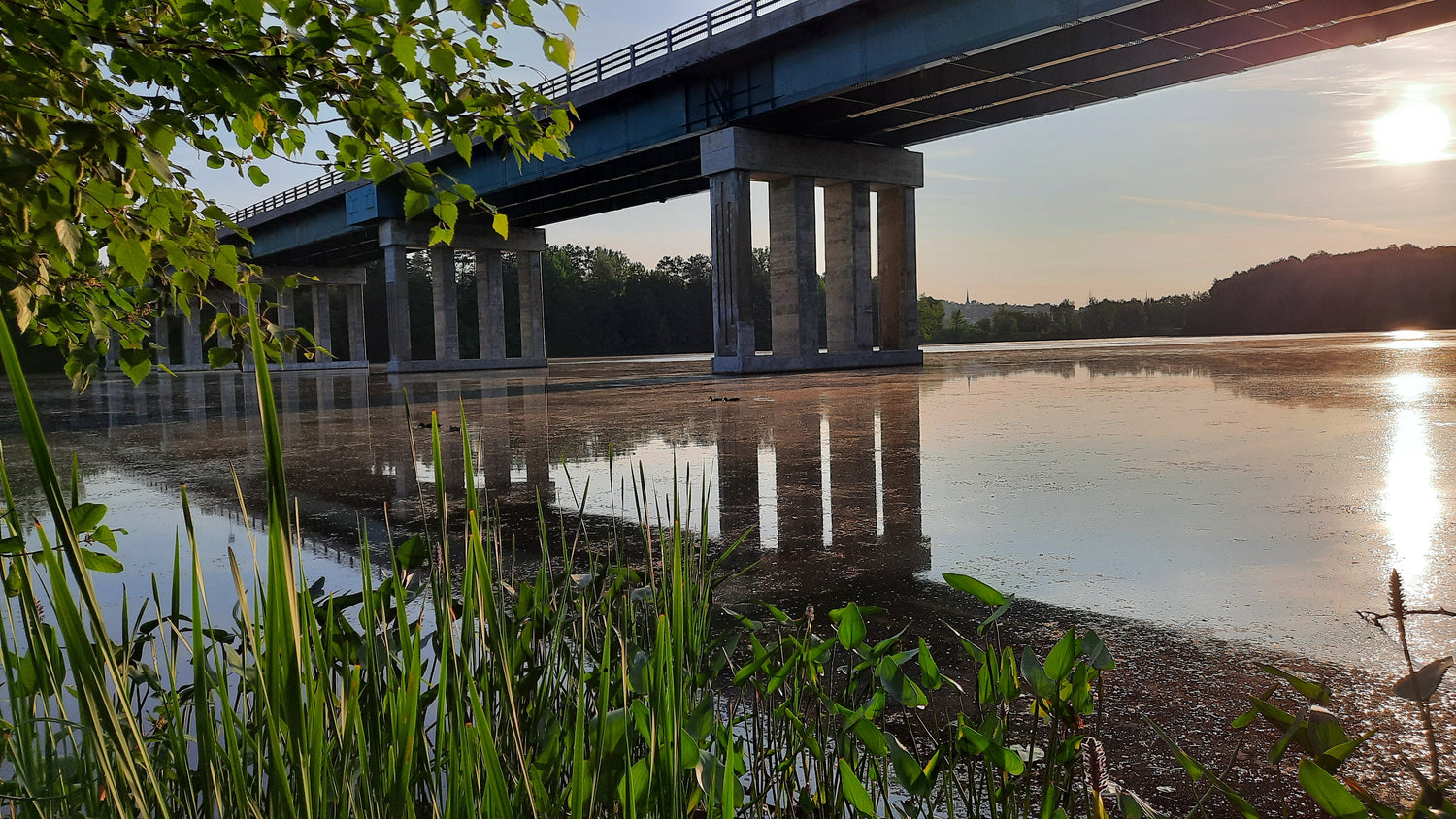 Cliquez Pour Trouver Les Canards De Sherbrooke 11 Juillet 2021 (Vue Pk1) Rivière Magog Et Pont