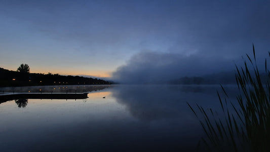 Trouve Le Canard Dans La Brume À L’aube Au Lac Des Nations De Sherbrooke 23 Juillet 2021 (Vue