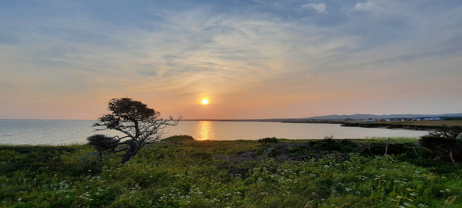 (10 Sous) Coucher De Soleil 10 Août 2021 Parc Gros-Cap Îles-De-La-Madeleine