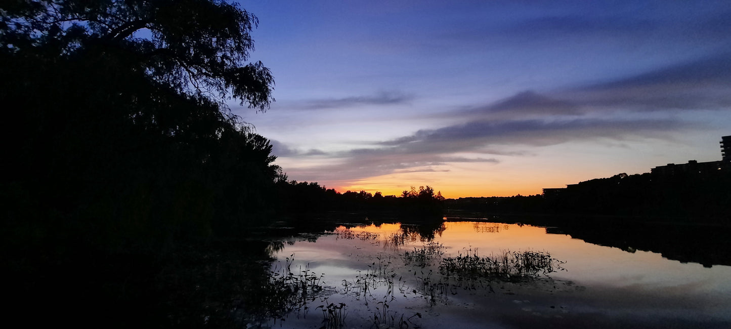 Crépuscule Au Jardin Du Grand Saule 18 Aoůt 2021 (Vue T2) Réflexion 20H13