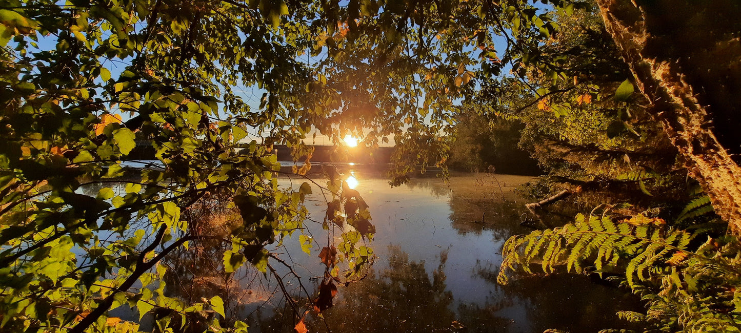 Soleil Du 21 Septembre 2021 6H58 (Vue Ile) Rivière Magog Sherbrooke. Pont Jacques Cartier