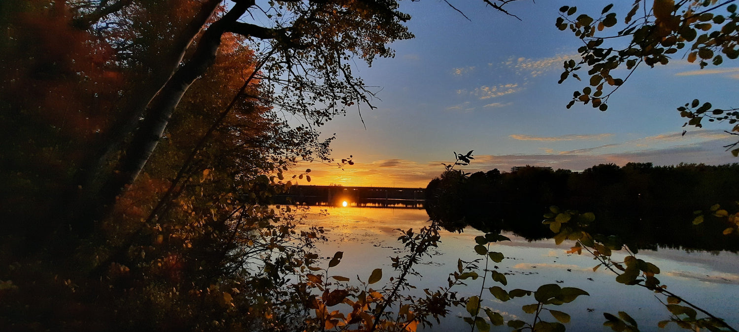 6 Photos--->Timelapse Du 10 Octobre 2021 17Hxx (Vue 0) Photos. Cliquez Pour Voir