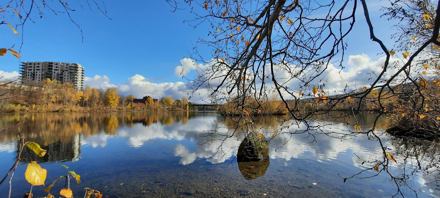 Le Rocher De Sherbrooke Du 3 Novembre 2021 11H57 (Vue Rocher)