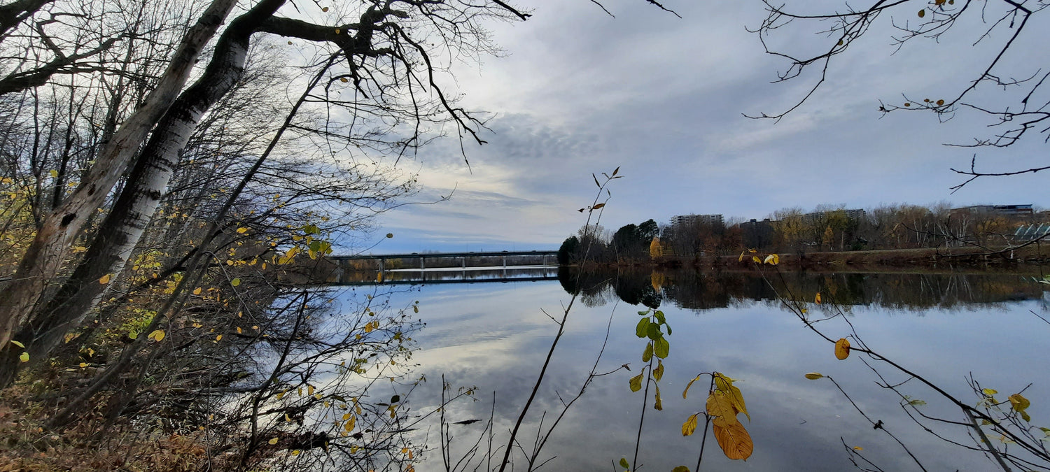 2021-11-11 15:50 Sherbrooke (Vue 0)