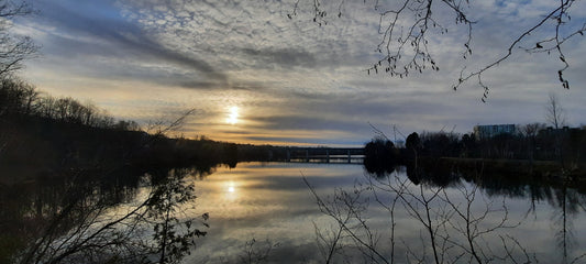 Le Journal De David -Le Coucher Soleil Du 2021-11-20 Sherbrooke (Vue 1) Cliquez Pour Voir Les 8