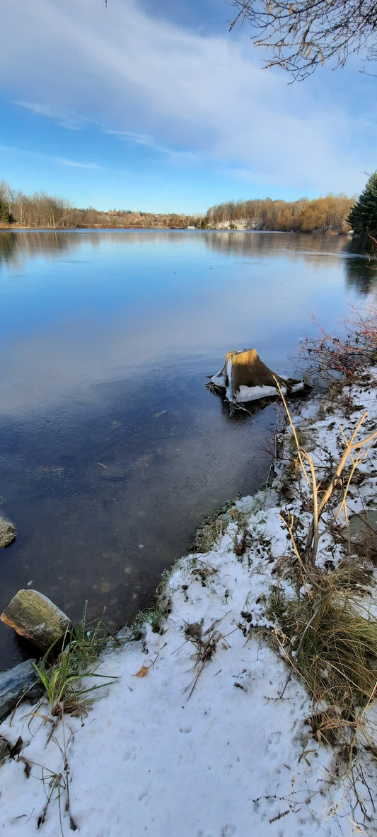 2021-11-28 Glace De La Rivière Magog À Sherbrooke (Vue Souche)