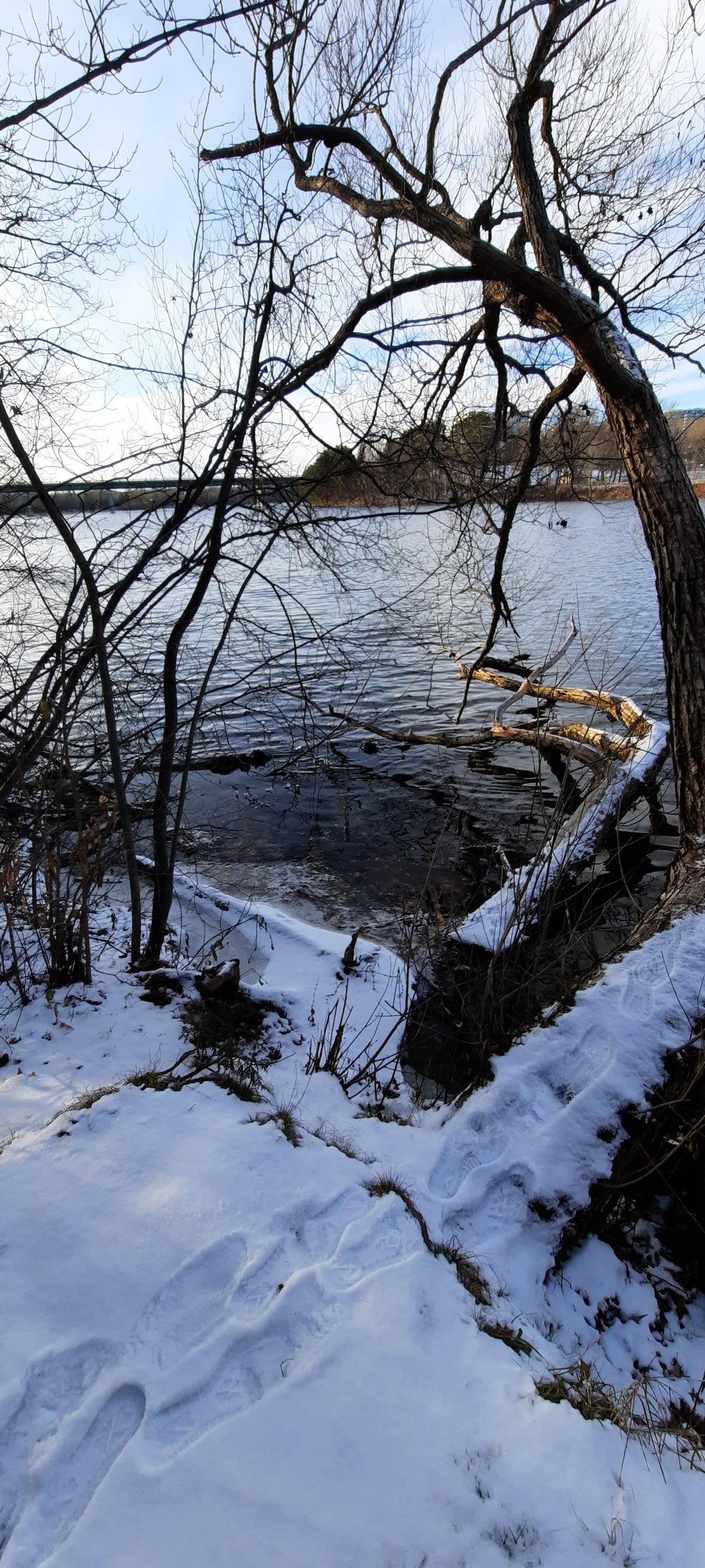 2021-11-28 Glace De La Rivière Magog À Sherbrooke (Vue C1)