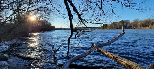 1-2-3 Photos--->Journal De David -12 Décembre 2021 À Sherbrooke Trouve Les Canards (Vue 1)