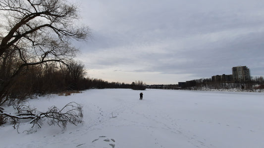 Trouve Les 2 Personnes Instagram Sur La Glace 2022-01-05 (Vue T2)