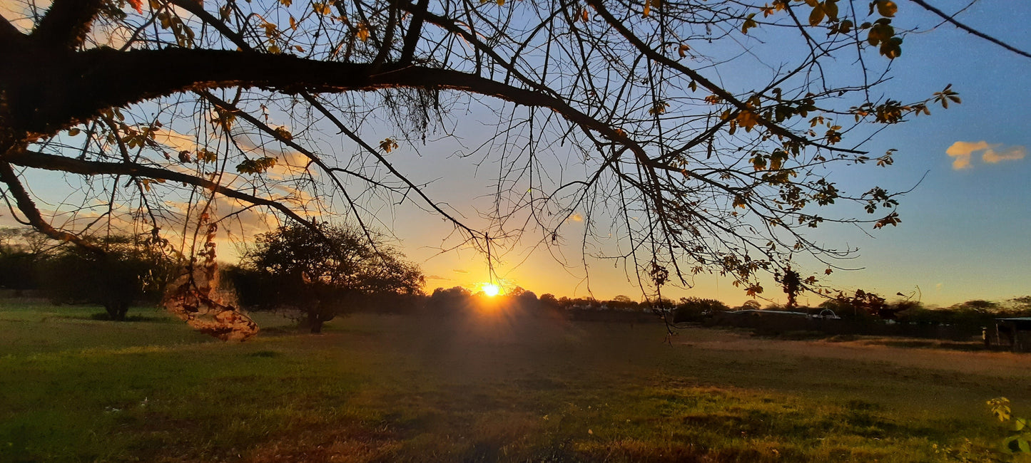 Coucher De Soleil Du 28 Février 2022 (3 Photos)