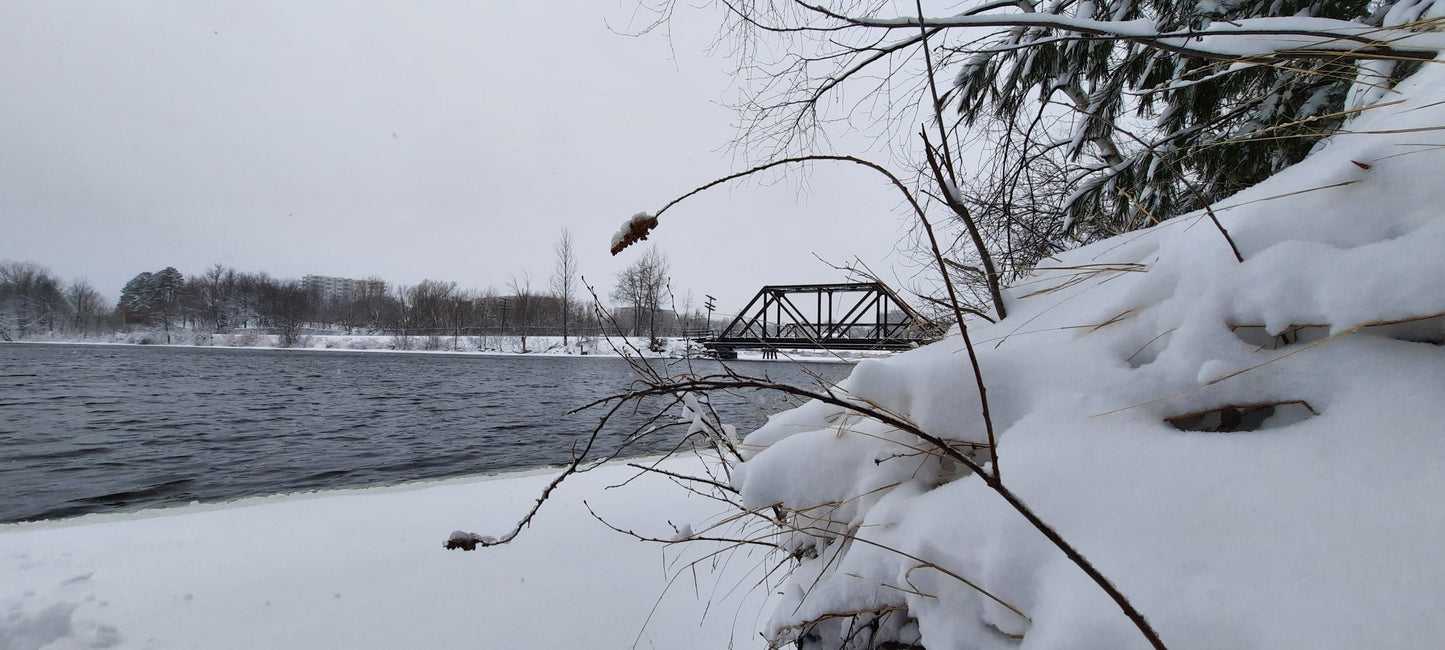 12 Mars 2022 - Le Pont Noir Et Le Jacques Cartier De Sherbrooke Sous La Neige (Vue 1)