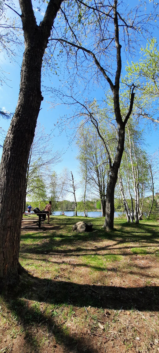 Trouve Le Danseur Du Parc Blanchard (Vue Tp1)