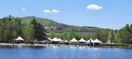 Sherbrooke-Le Parc Blanchard S’anime (Vue Rpms)