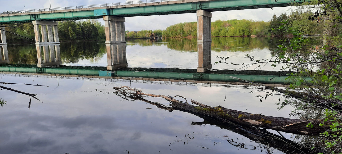 Trouve Les Tortues Pres Du Pont Jacques Cartier De Sherbrooke (Vue K0)