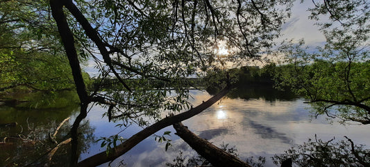 2022-05-15 18:57 (Vue C1) Trouve Le Soleil