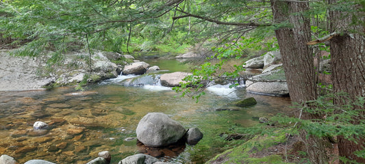 Screw Auger Falls Maine (Usa)