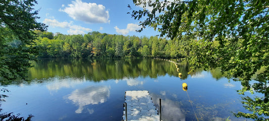 2022-09-08 Le Barrage Drummond À Sherbrooke (Vue Q5)