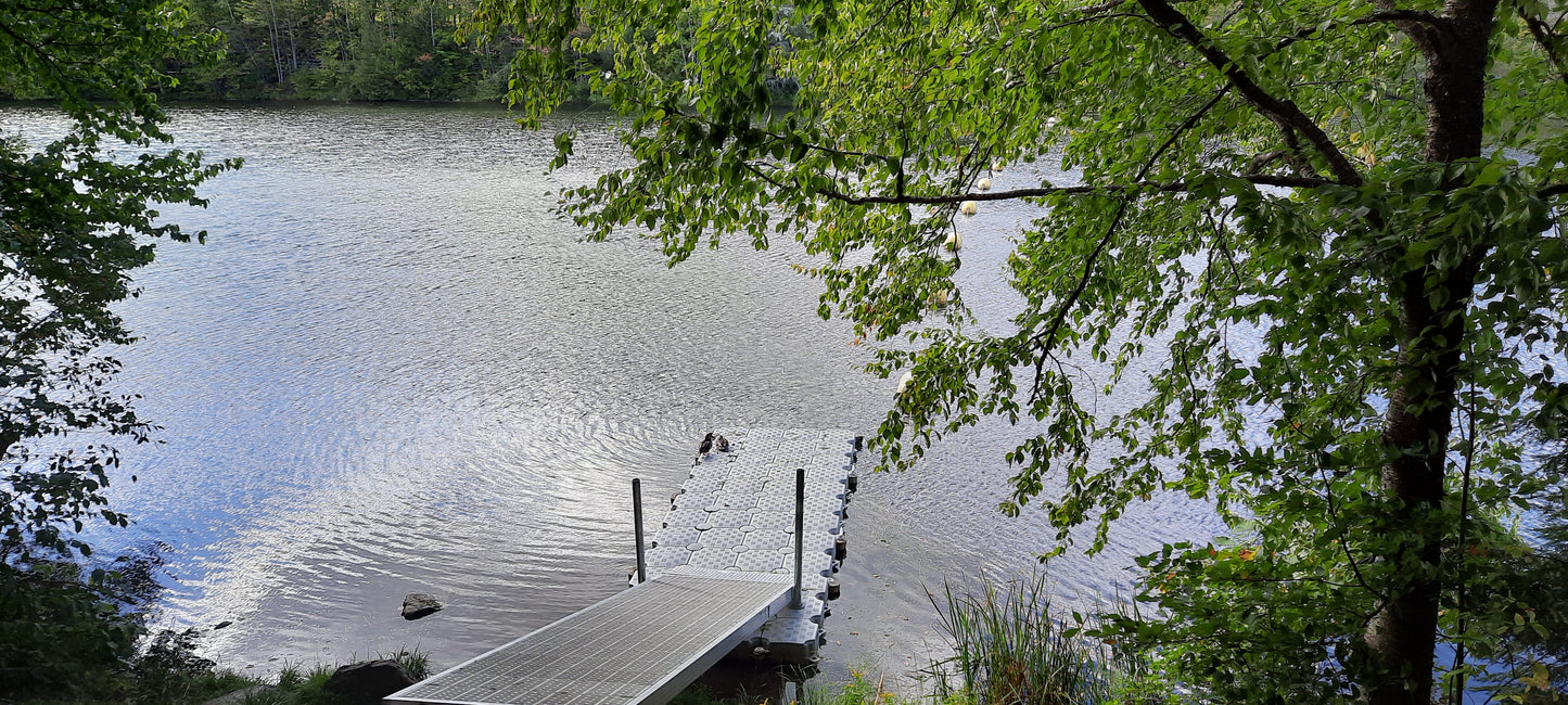 Trouve Les Deux (2) Canards (Vue Q5)