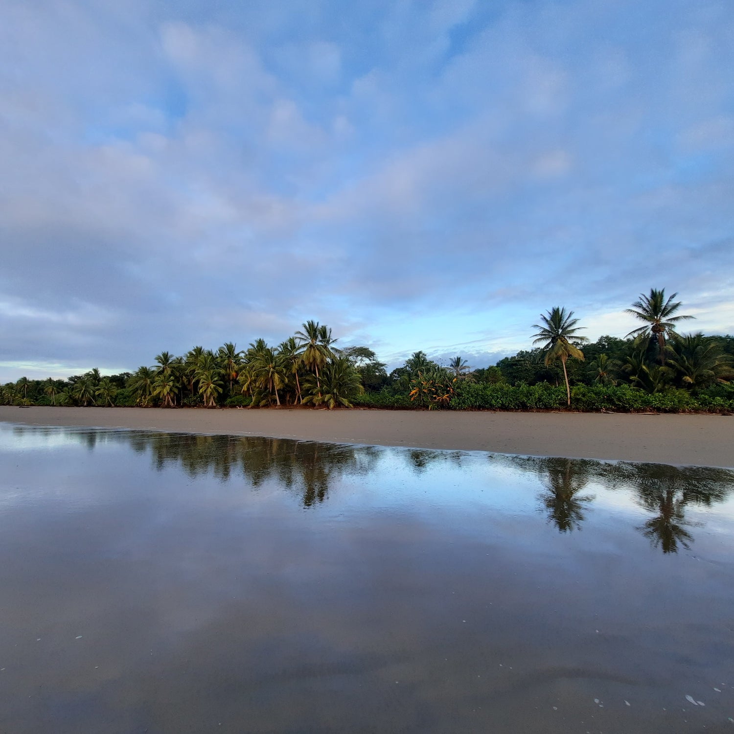 18 - Playa Uvita Costa Rica