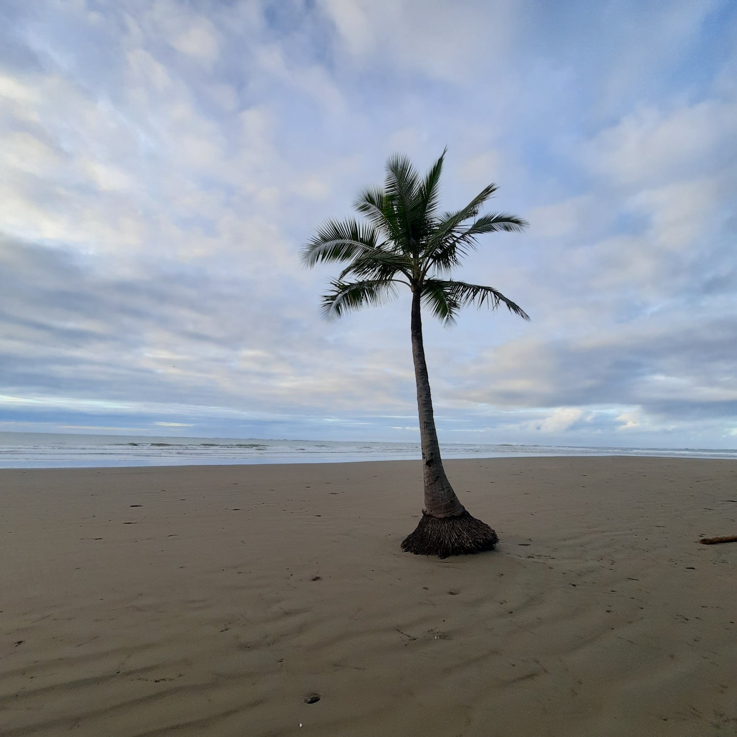 18 - Playa Uvita Costa Rica