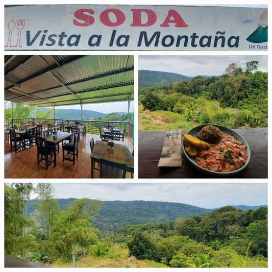 Soda Vista Montaña (5⭐️)