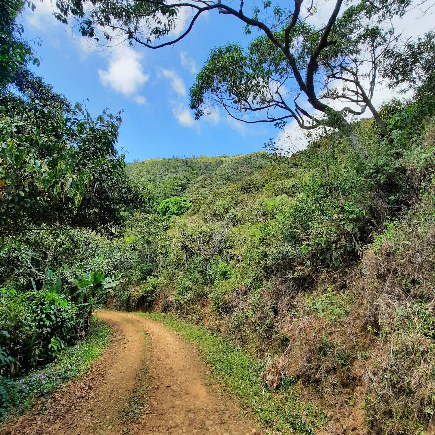 Le Chemin