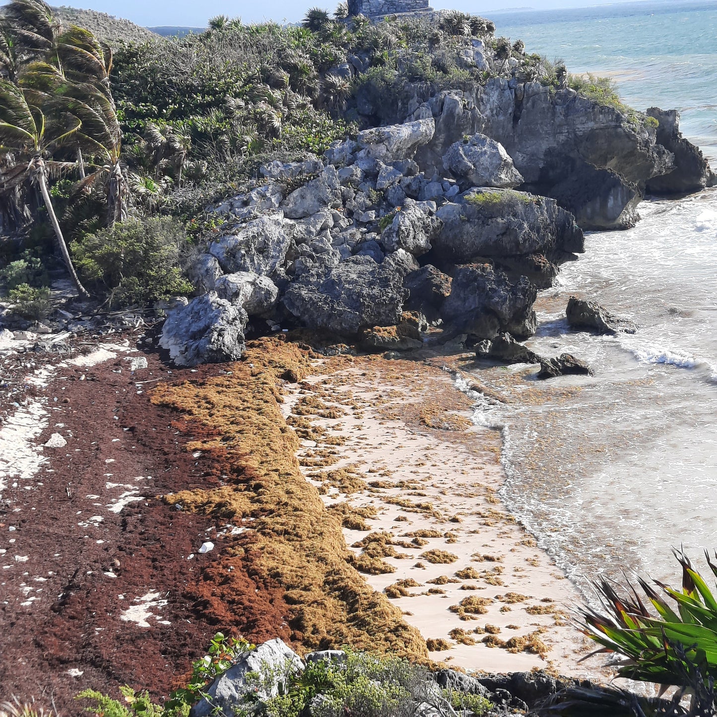 Je Me Déplace Vers Tulum