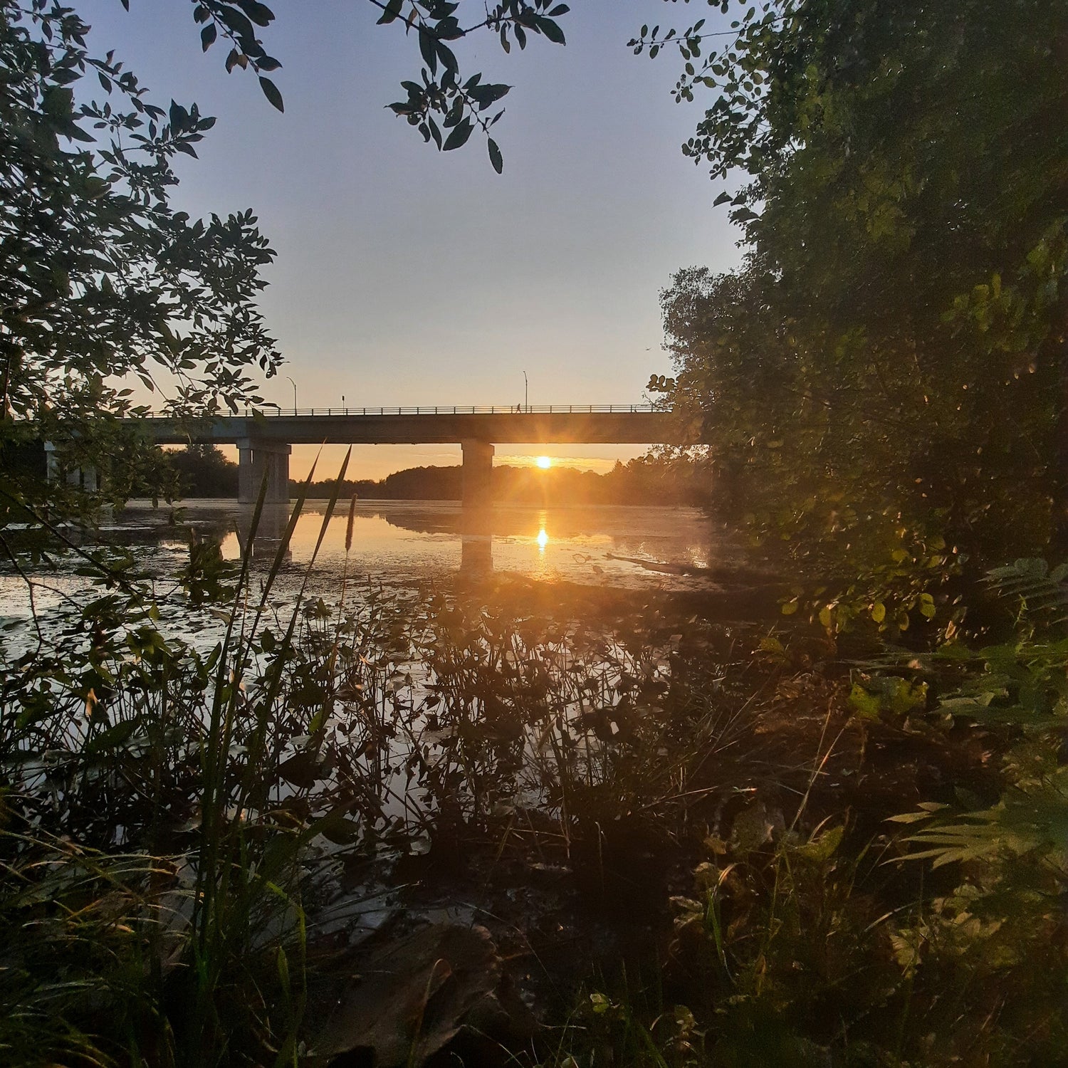 2023-08-24 06:26 Le Pont Jacques-Cartier (Vue K0)