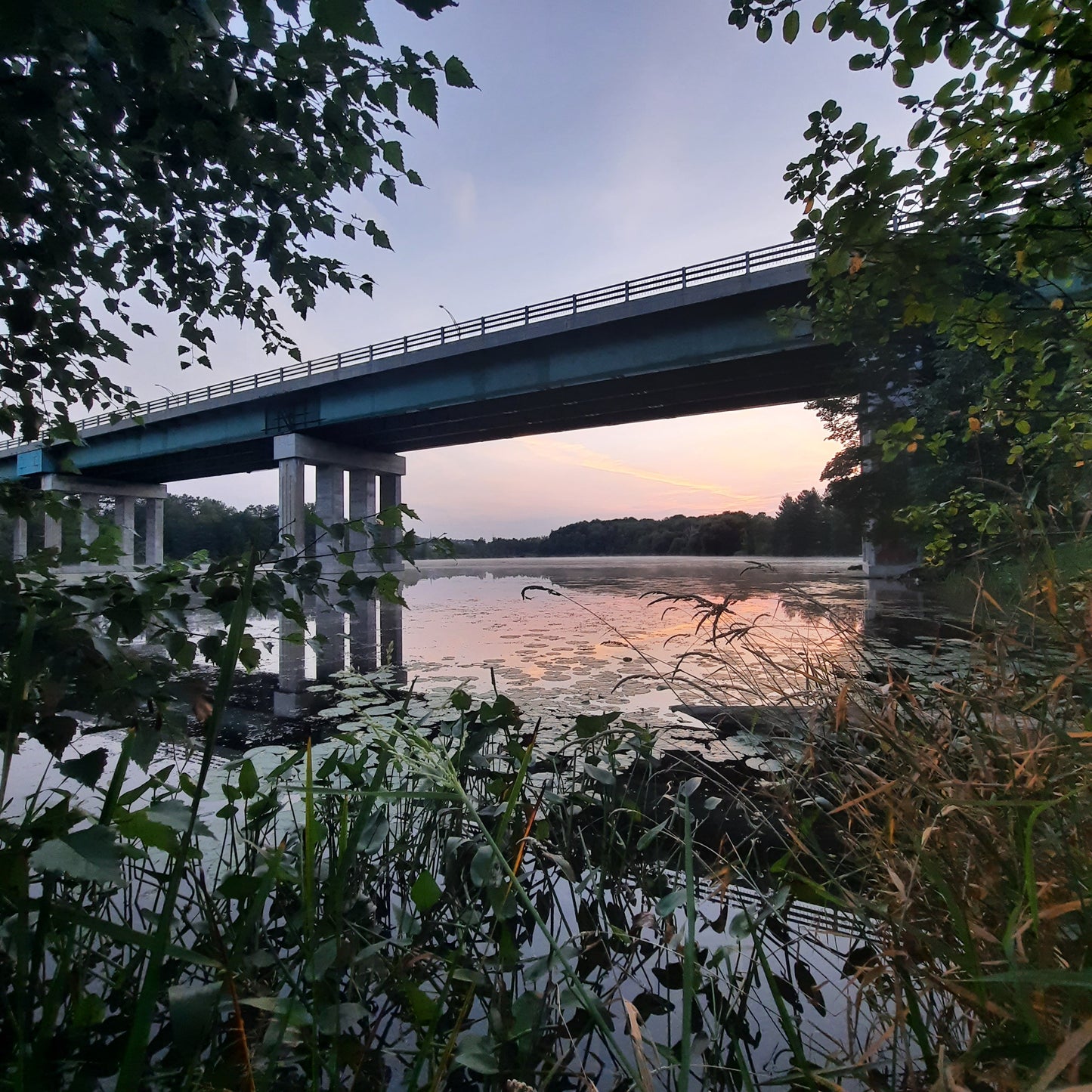 2023-09-02 Le Pont Jacques-Cartier De Sherbrooke (Vue K1)