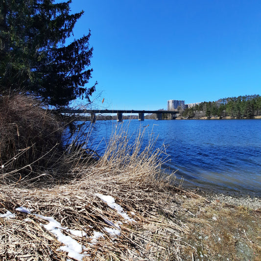 2024-04-07 14:04 (Vue P1) Dans Moins De 24 Heures L’éclipse Solaire