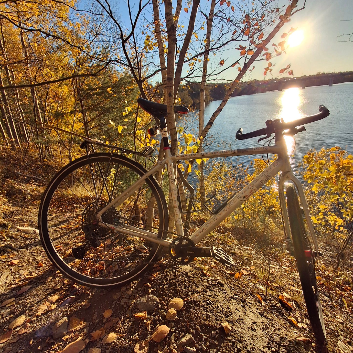 2024-10-17 16:57  Trouve le Rapido vélo(Vue 2.3)