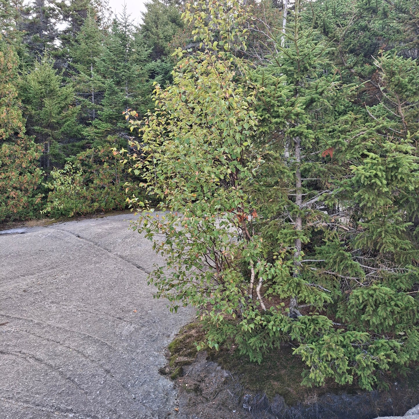 Repėre Géodésique