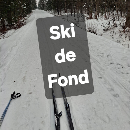 2025-11-22 Ski de fond (Vue Eastman)