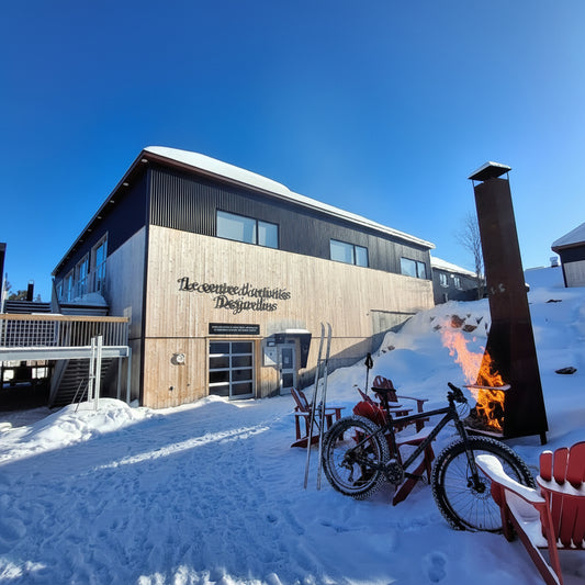 The Desjardins Activity Centre