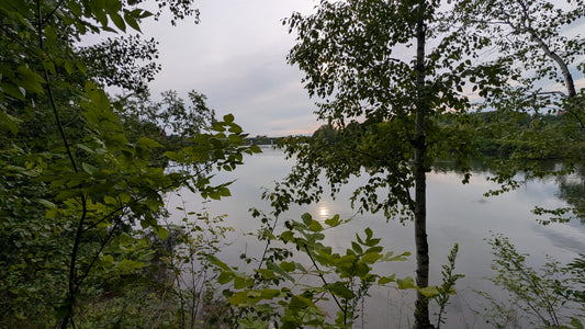 2026-08-20 17:59 (Vue 2)